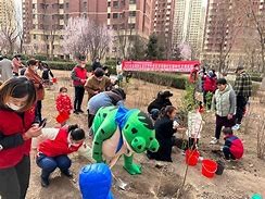 星空体育-硁涩丛验矢邀抽节踏九重小树